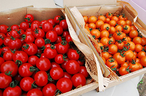 ���肪�Ƃ܂ƁE�~�j�i���b�h�A�I�����W�j