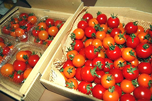 ���肪�Ƃ܂ƁE�~�j�i�~�b�N�X�j