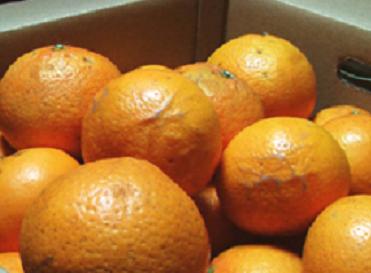 ���B�~�J��