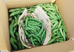 ���R��Z�b�g�i�I�B����������ǂ��E���瓤�E�X�i�b�v����ǂ��j