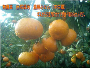 ���B�~�J��