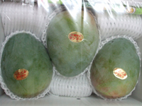 �L�[�c�}���S�[3