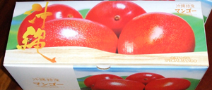 �ɂ��ɂ��}���S�[�i�����p�j