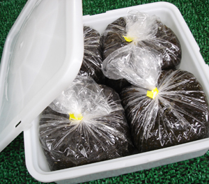 ��������������