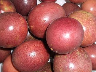 �R���R���p�b�V�����t���[�c