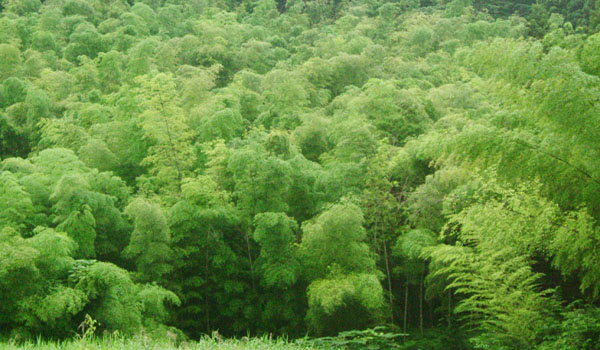 �����̂��i�Џ@�|�сj