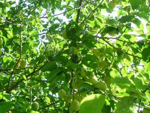 �~�i���~�j