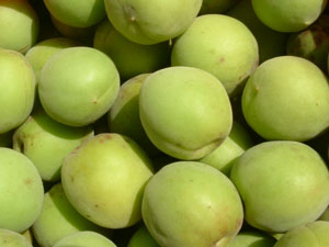 �~�i���~�j