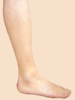 ���肪�Ƃ��p���e�B�[�X�g�b�L���O